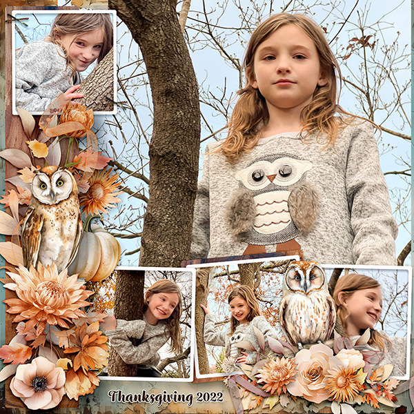 Owl, Sybil