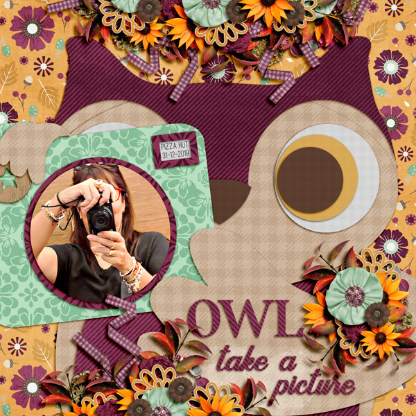 owl take a pic