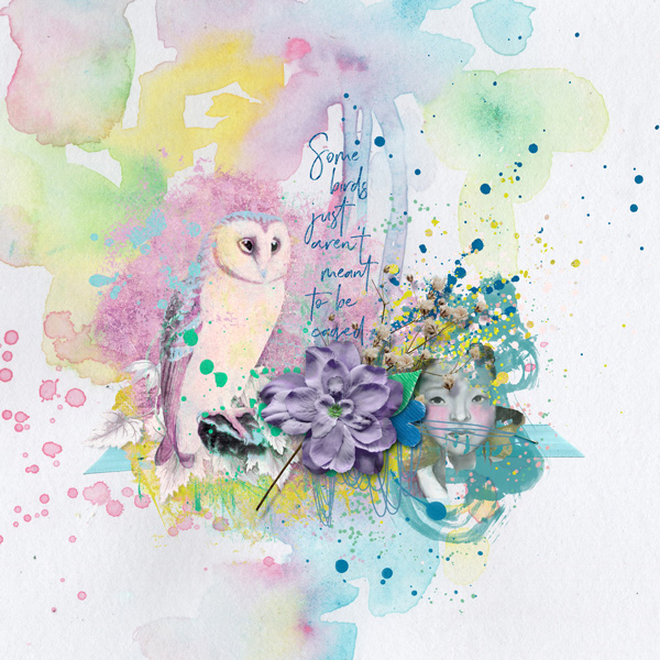 Owl