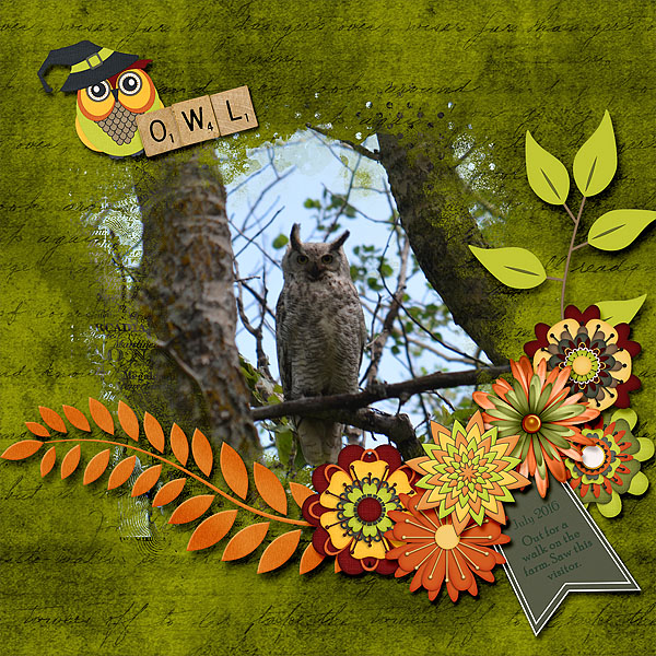 OWL