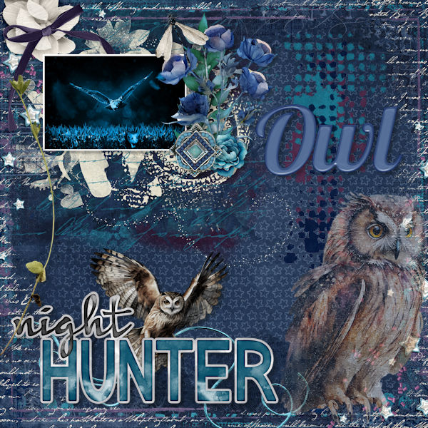 Owl