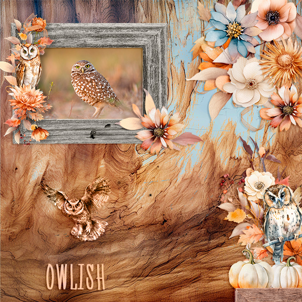 Owlish