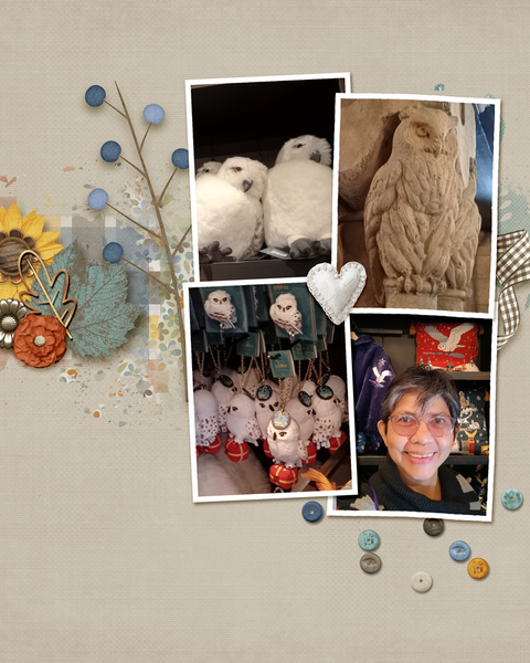 owls