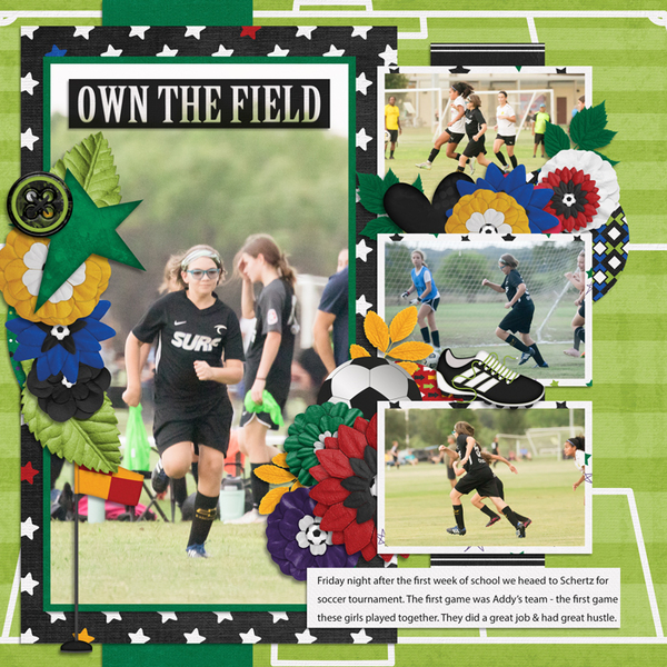 Own the Field