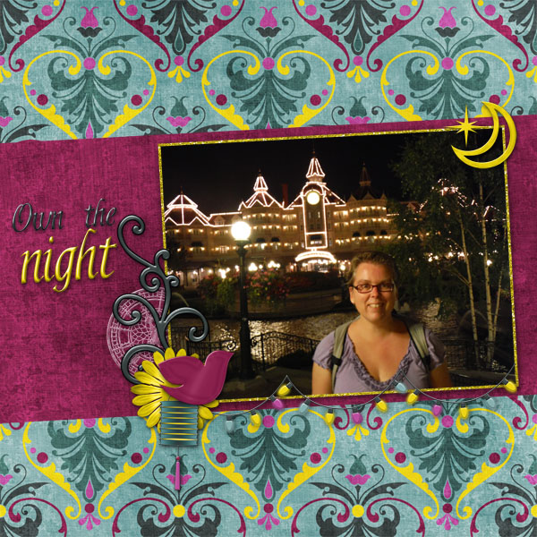 Own the Night