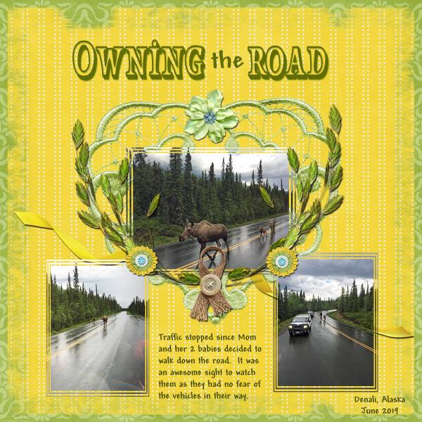 Owning The Road
