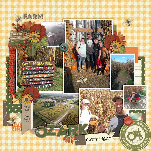 ozark corn maze