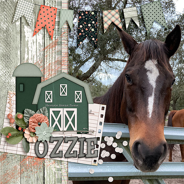 Ozzie