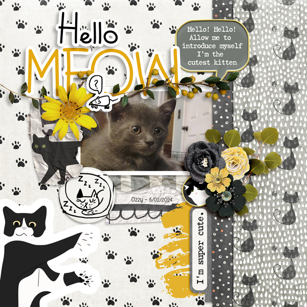 Ozzy at 7 weeks