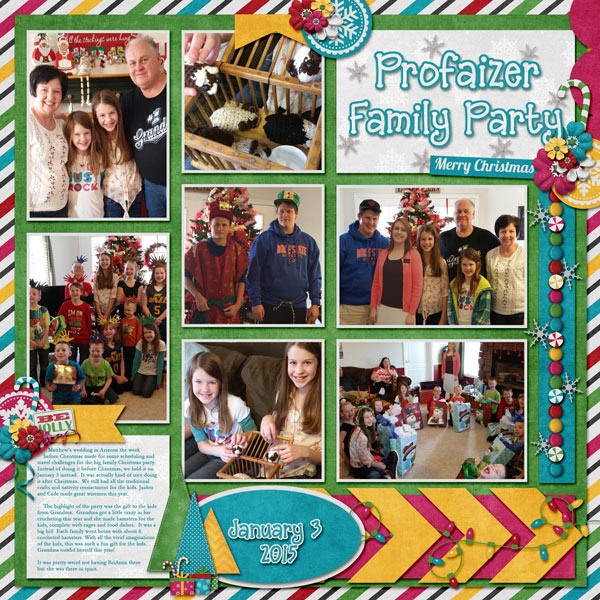 P2015Jan1-7WEB