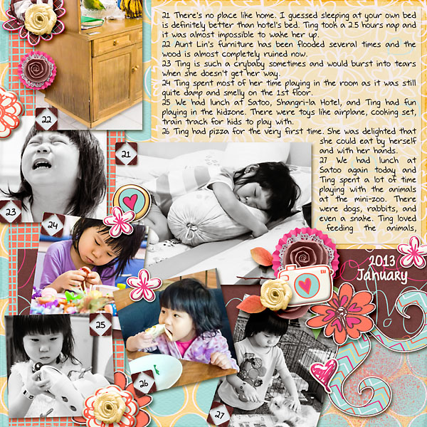 p365 project: January 2013 Week 4