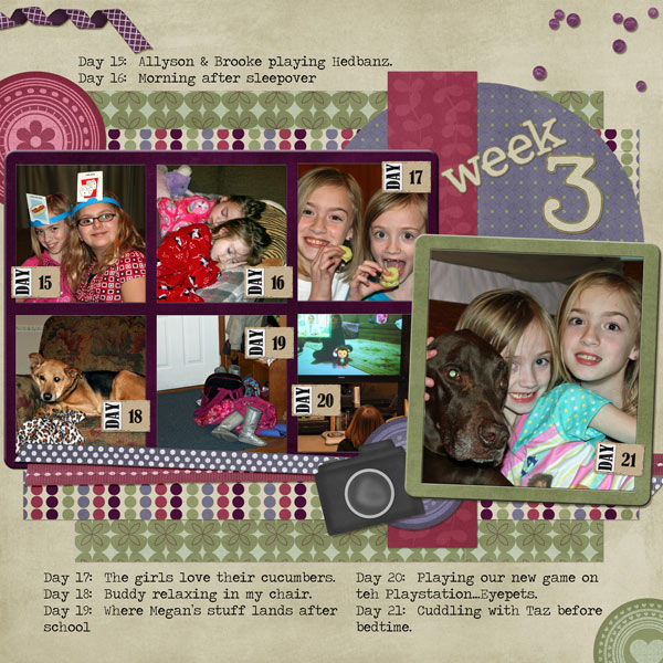 P365 Week 3 2011