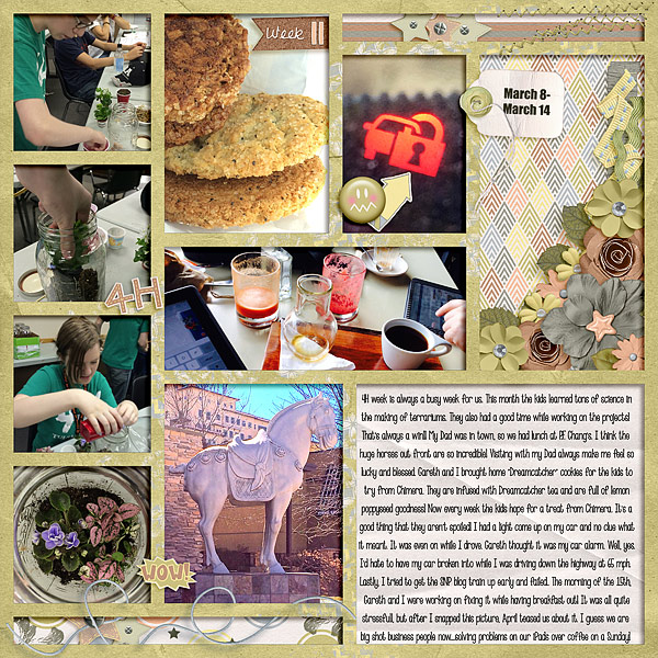 P52 Week 11