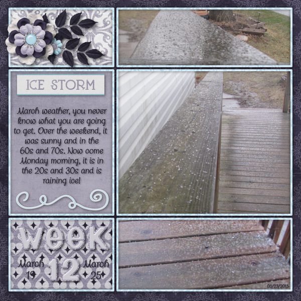 P52 Week 12
