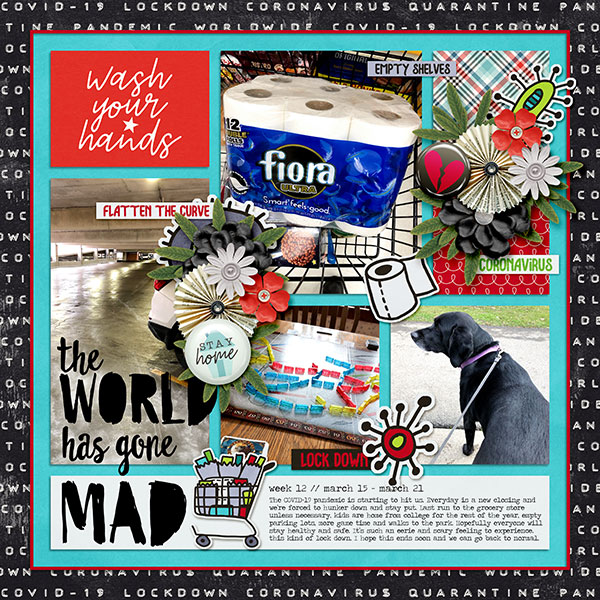 P52 ~ Week 12