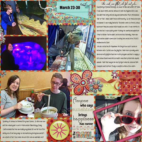 P52 Week 13