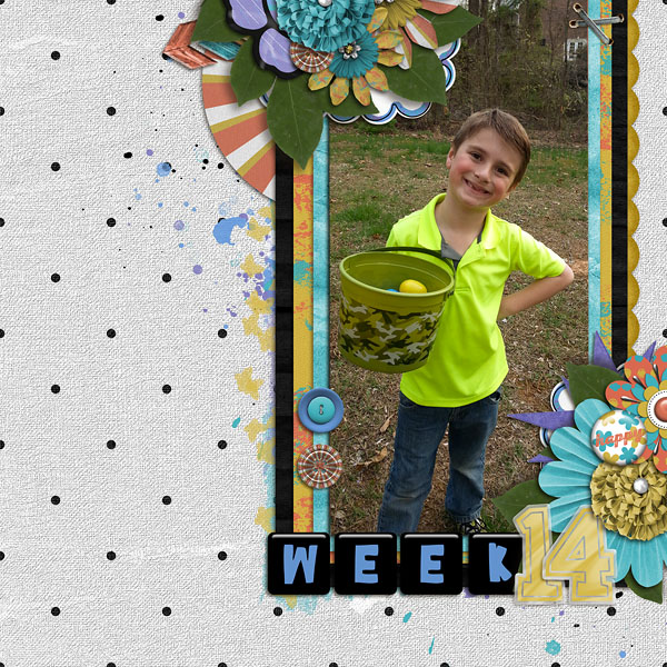 P52 | Week 14