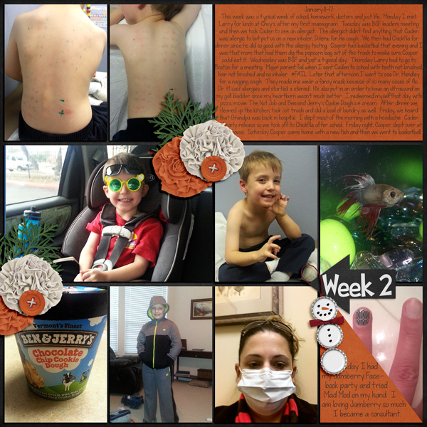 P52 Week 2 Jan 11-17 2015