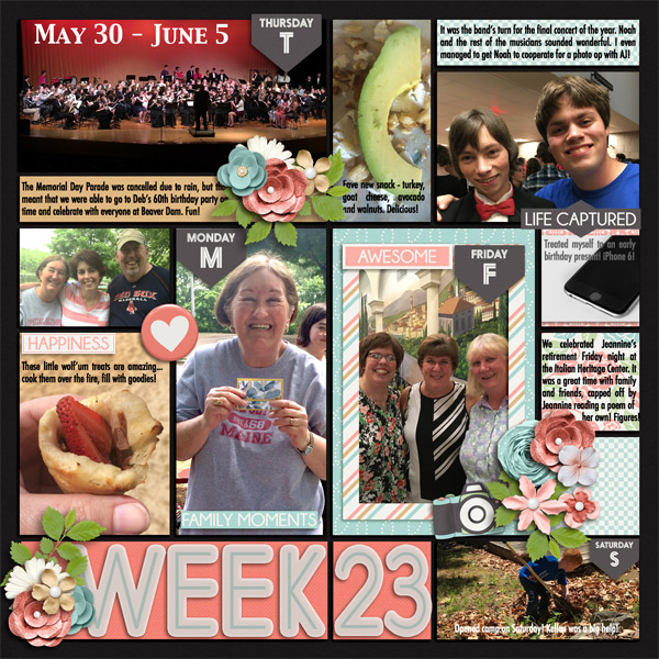 P52 Week 23 2016