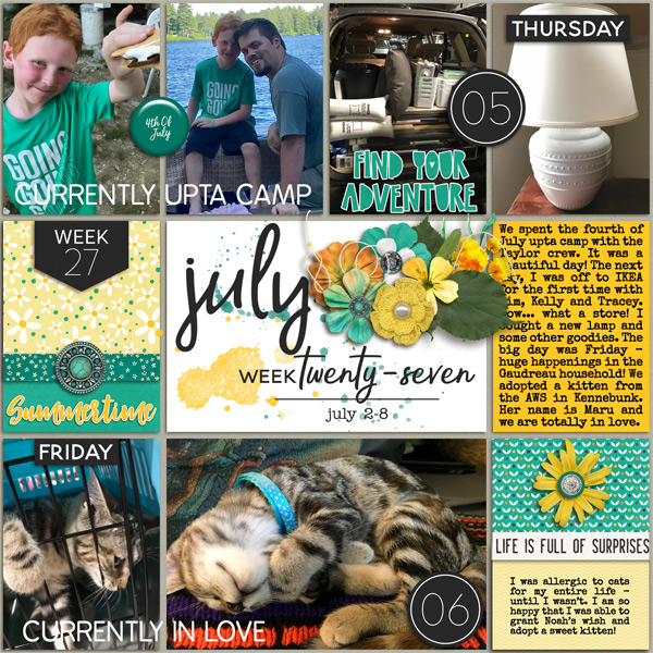 P52 Week 27 2018