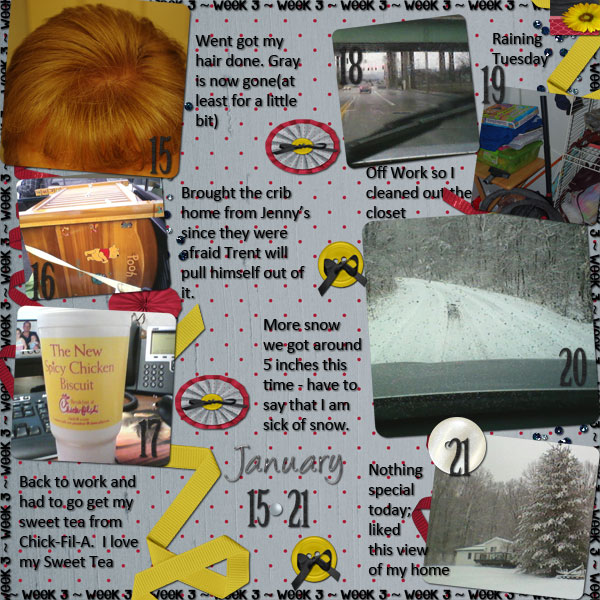 P52 - Week 3 - Jan 15-21