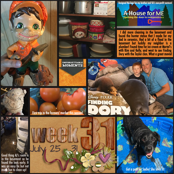 P52 Week 31 2016