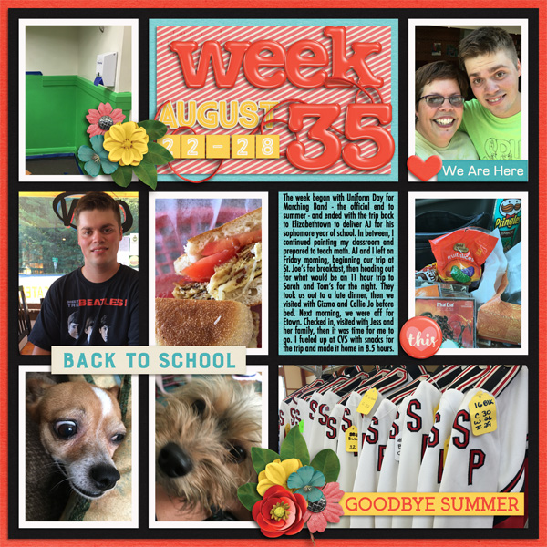 P52 Week 35 2016