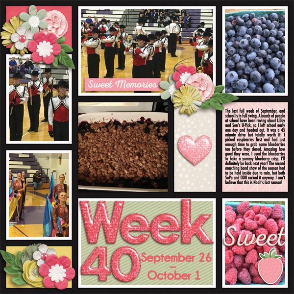 P52 Week 40 2016