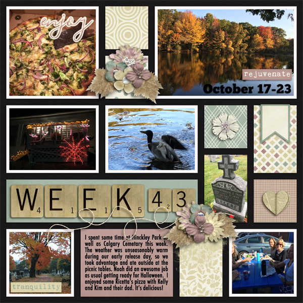 P52 Week 43 2016
