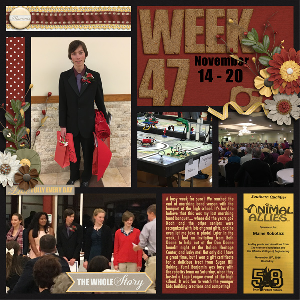 P52 Week 47 2016