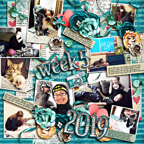 P52 Week 5 2019