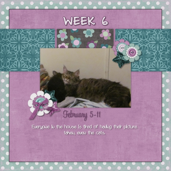 P52 Week 6
