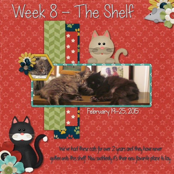 P52 Week 8