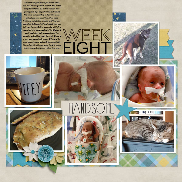P52 Week 8