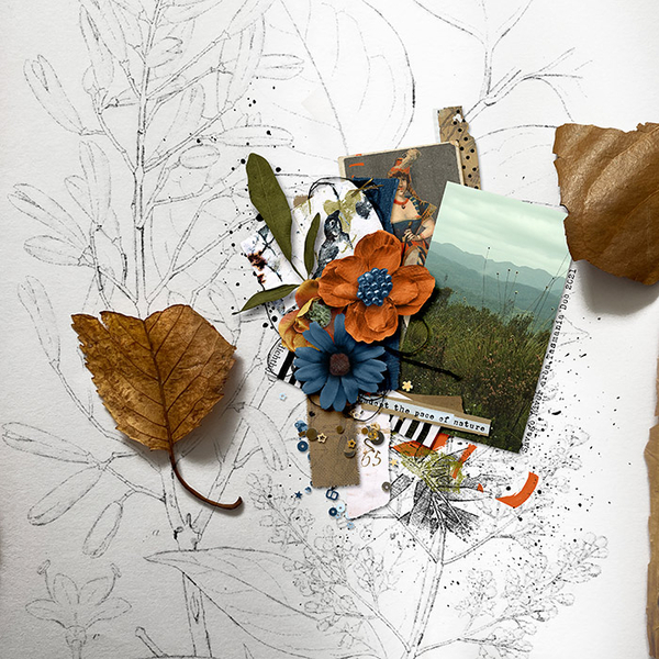 PACE OF NATURE