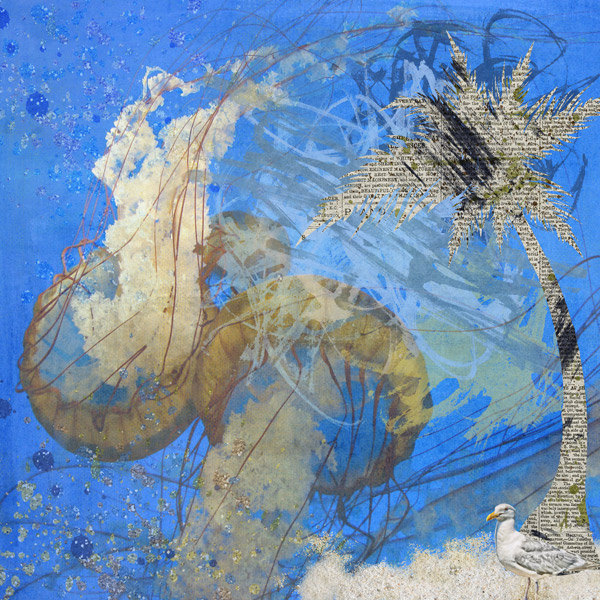 Pacific Sea Nettle