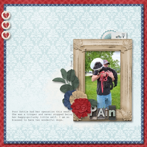 Pain - Life Chronicled July22