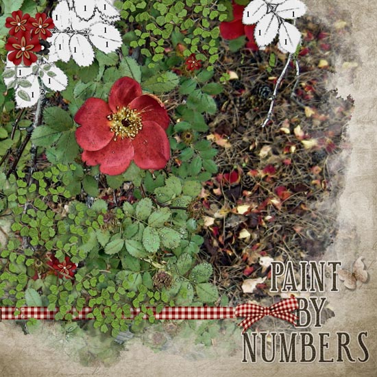 Paint by Numbers