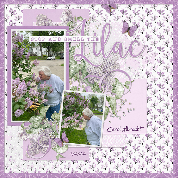 Paint Chip Lilac