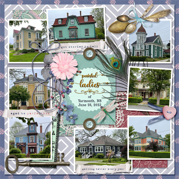 Painted Ladies