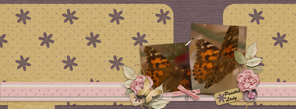 Painted Lady FB cover