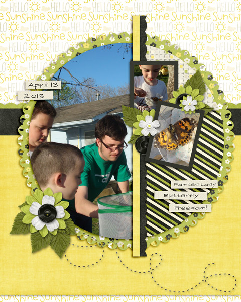 Painted Lady Release