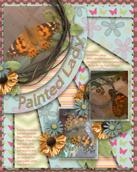 Painted Lady