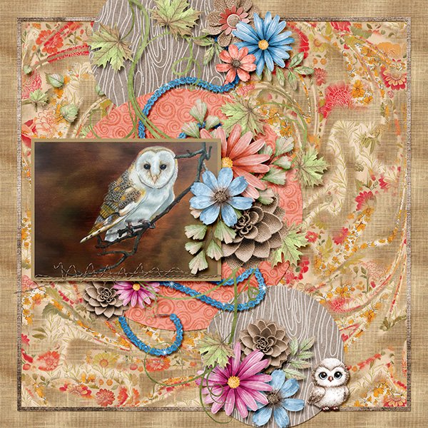 Painted owl