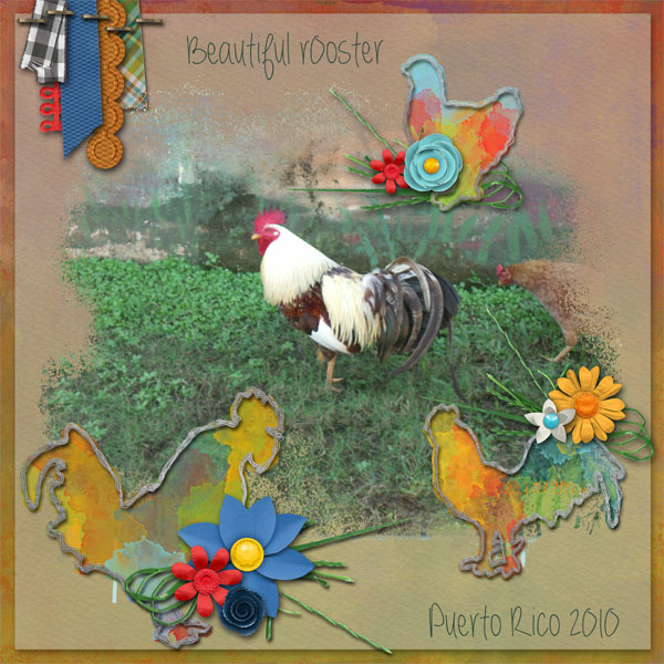 PaintedRooster