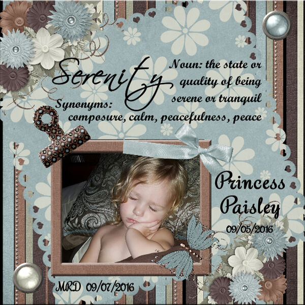 Paisley Serenity