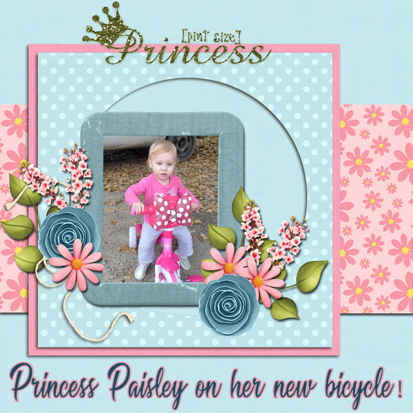 Paisley's New Bike