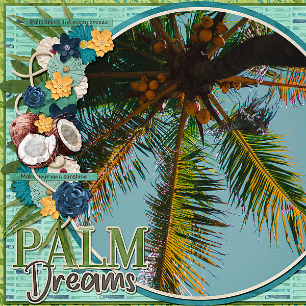 Palm Dreams