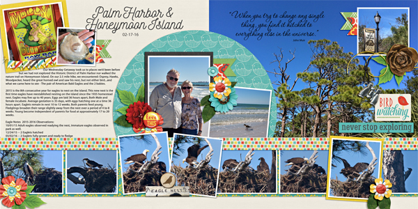 Palm Harbor + Honeymoon Island