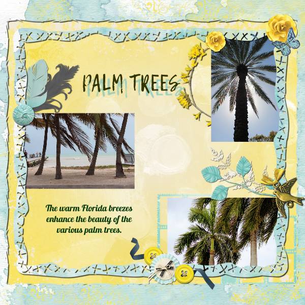 Palm Trees